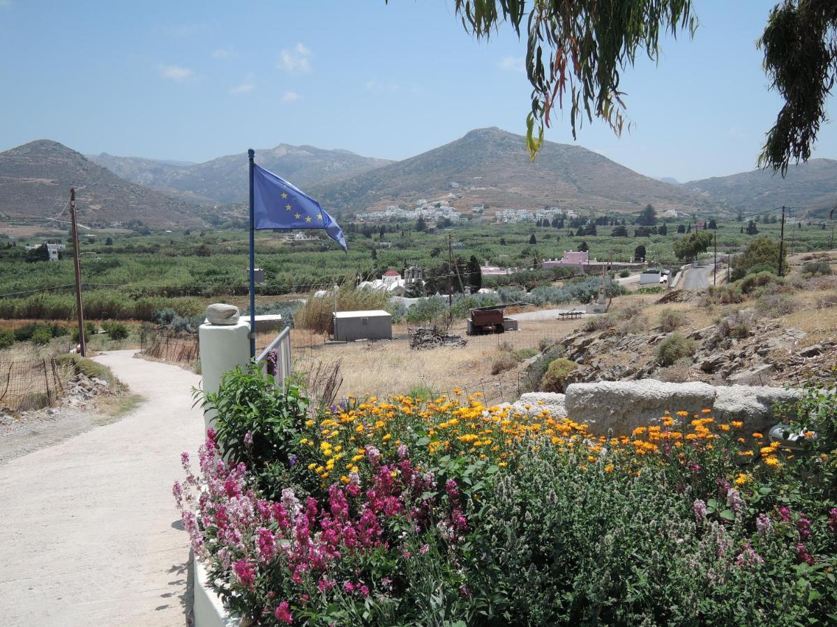 Galini  Studios Kapsali מראה חיצוני תמונה